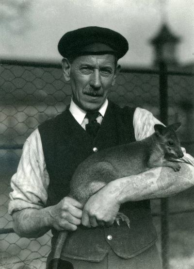 Keeper G. Blore holding a Wallaby at London Zoo by Frederick William Bond
